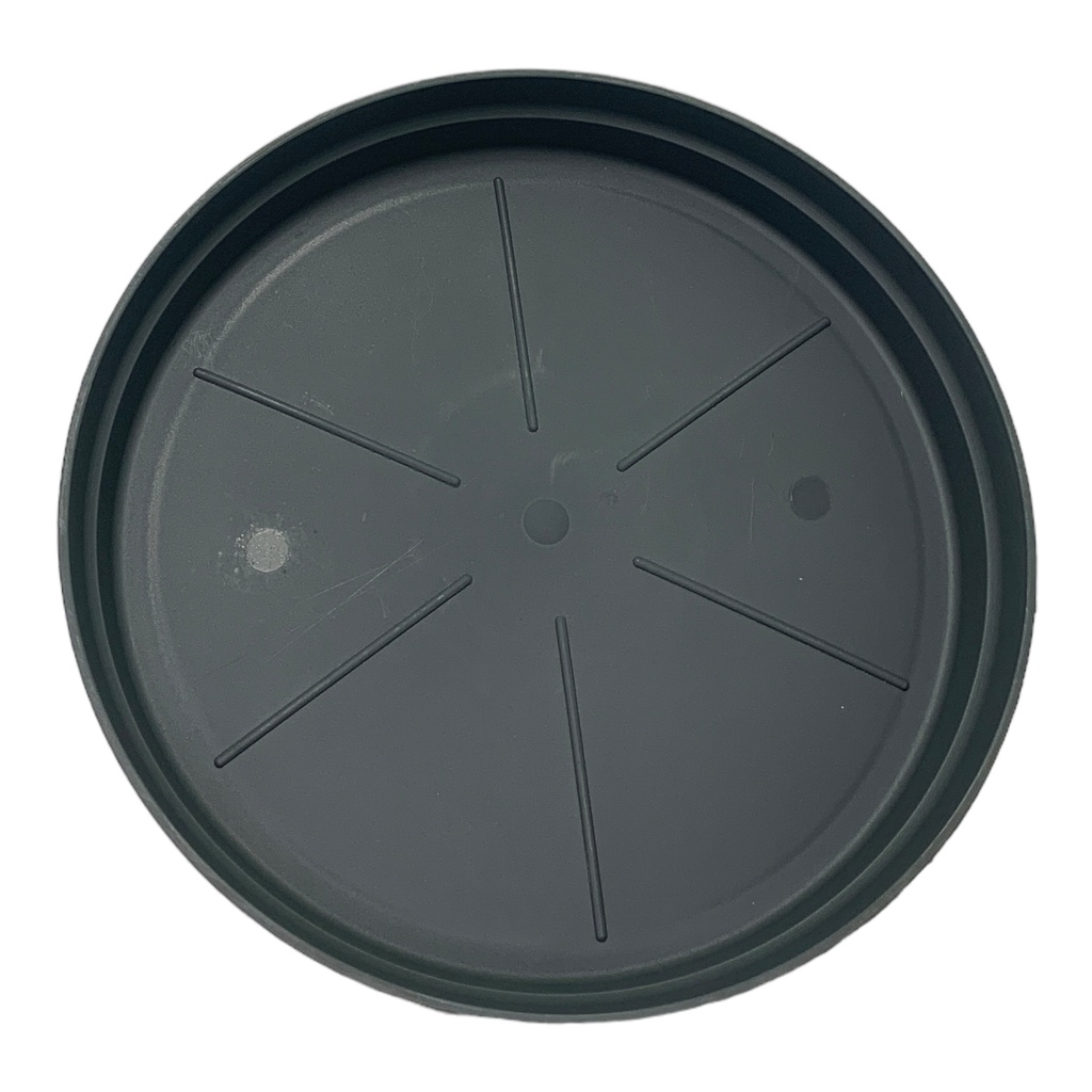 PLATO MATERO PP CLASICO D-40 GRIS DP