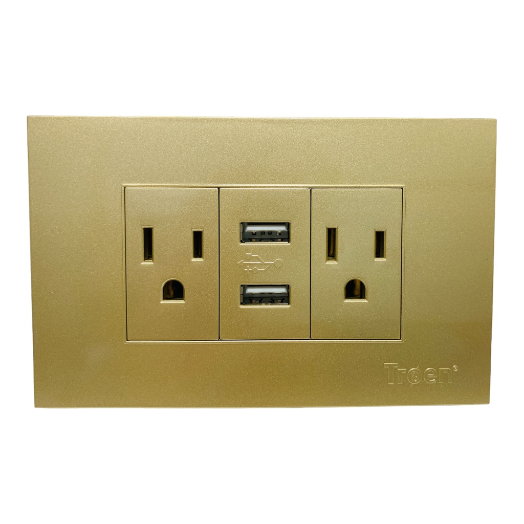 TOMACORRIENTE DOBLE DORADO CON USB TROEN