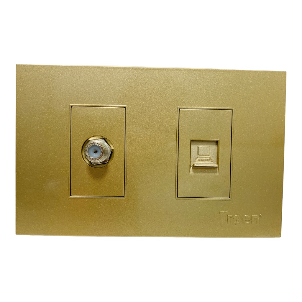 TOMA PARA CABLE COAXIAL Y RED RJ45 DE PARED DORADO TROEN
