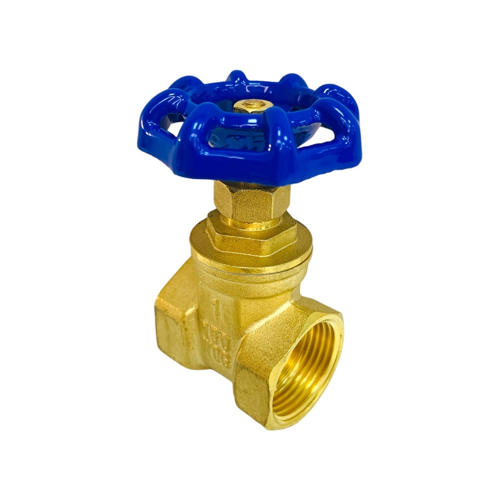 VALVULA COMPUERTA 1" GRIVEN