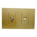 TOMA PARA CABLE COAXIAL Y RED RJ45 DE PARED DORADO TROEN